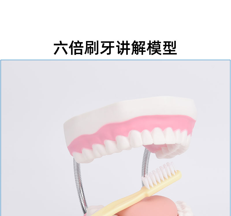 趣味护齿，健康成长——幼儿口腔健康教学玩具的创新应用